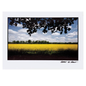 Kaart Geert de Groot landschap met gele bloemen