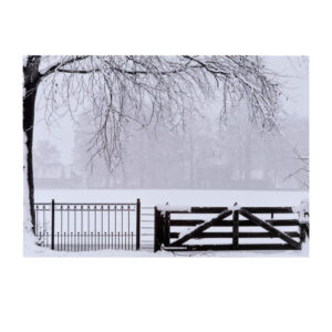 Kaart Geert de Groot zwart wit hekwerk sneeuw