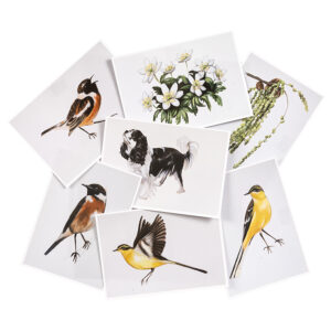 Set 7 kaarten Vogels