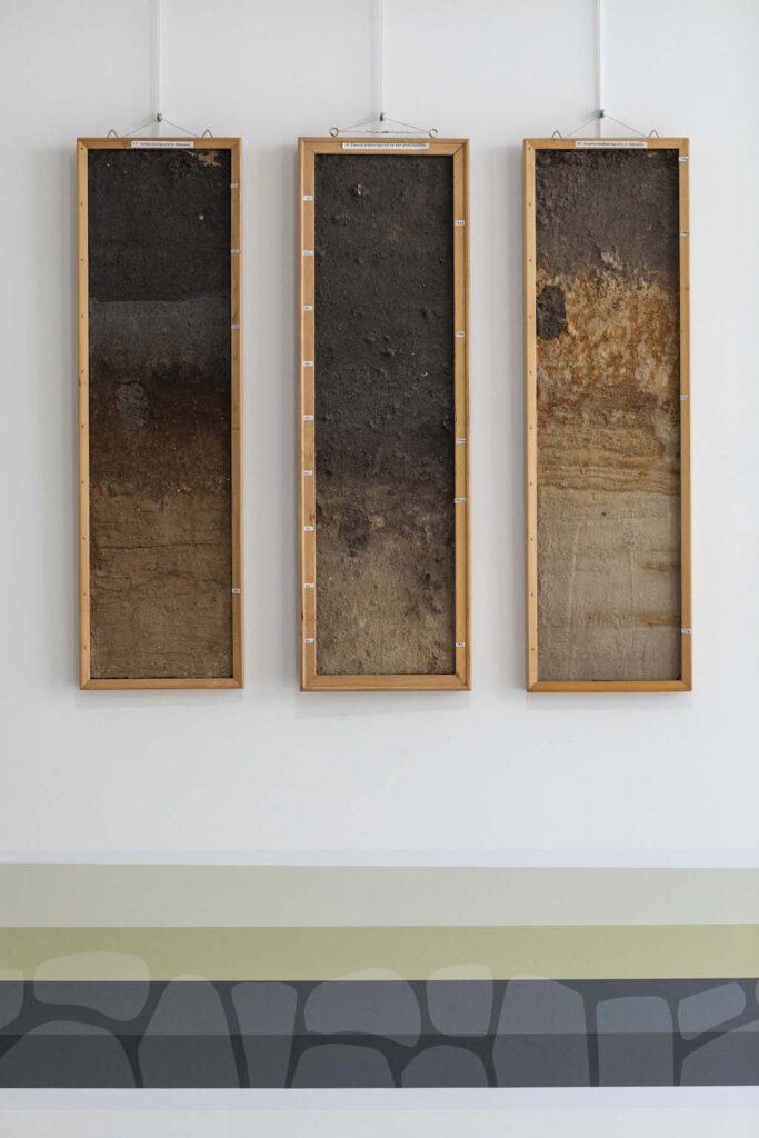 Museum STAAL Grondlegger