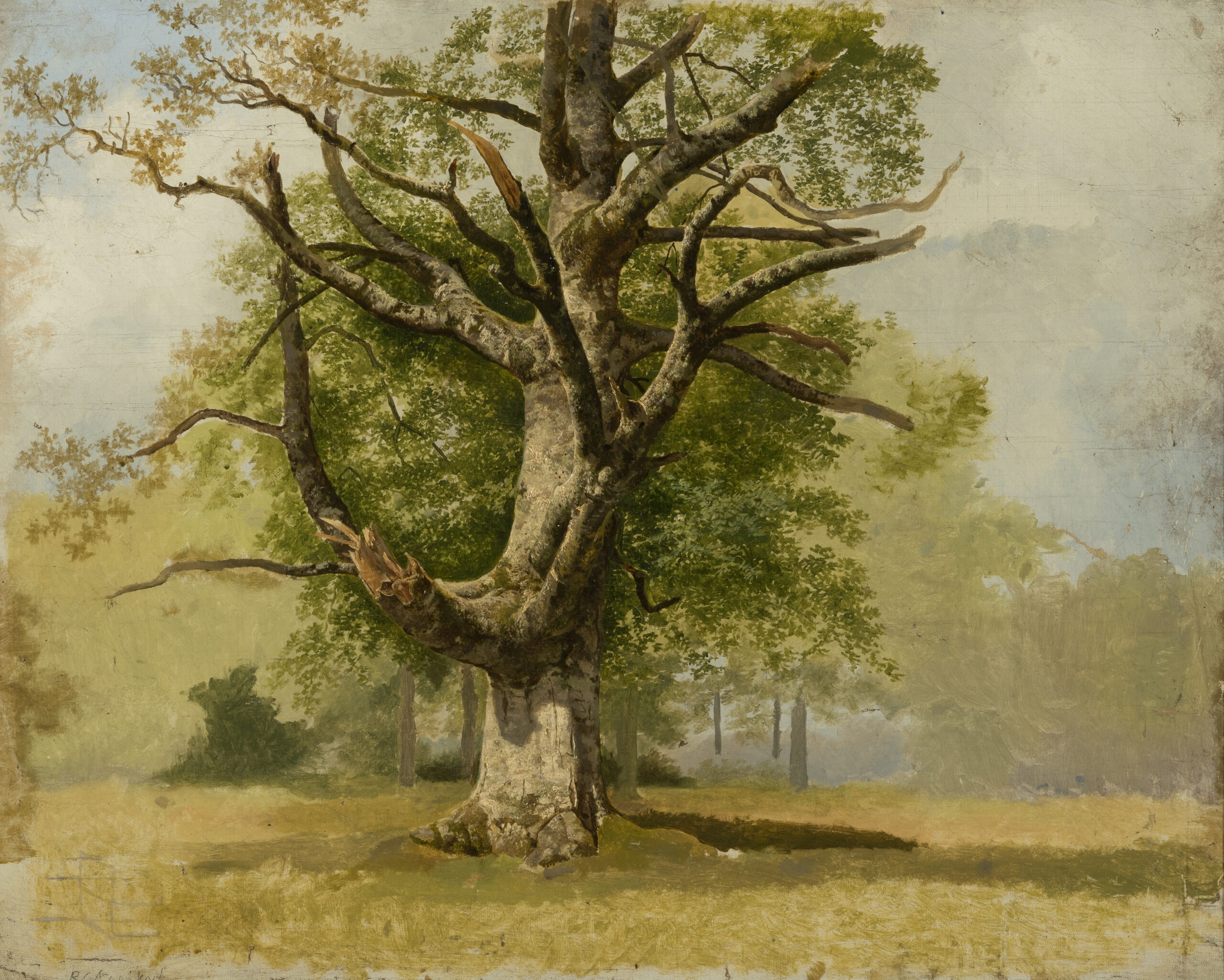 B.C. Koekkoek, Ölstudie 'Große Buche vor Schloss Moyland', 1840 in Museum STAAL