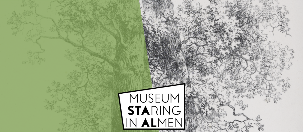 Bomen over Bomen - door het museumbos, de bomen zien in Museum STAAL